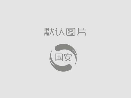 國(guó)安建設(shè)丨公司今年怎么干？
